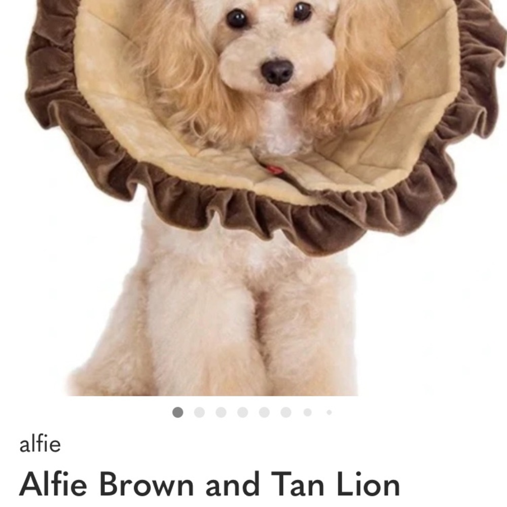 Brown and Tan Lion Mane for Dogs
